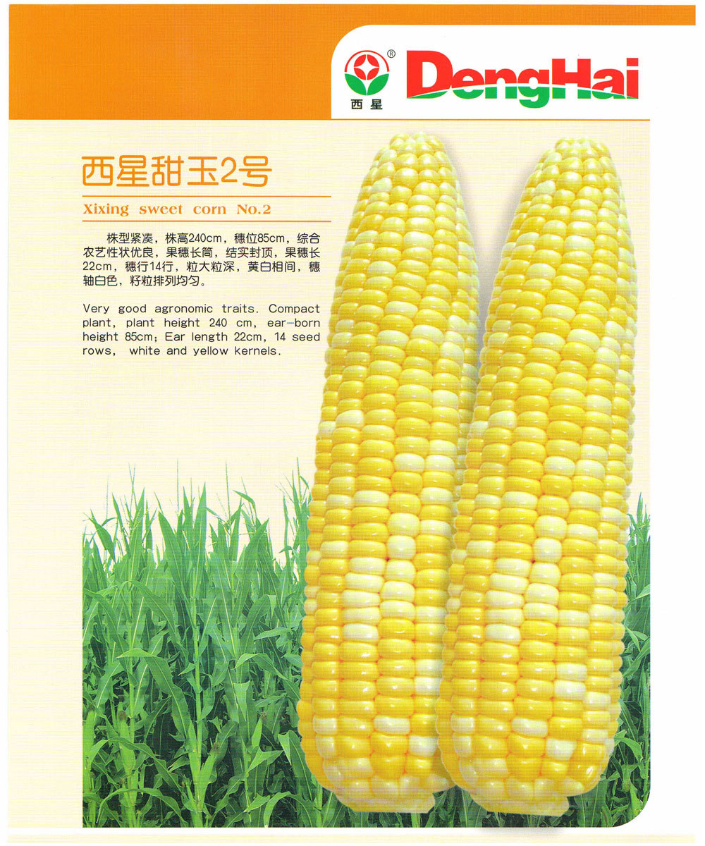 西星甜玉2号