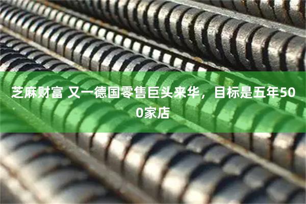 芝麻财富 又一德国零售巨头来华，目标是五年500家店