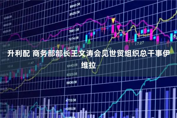 升利配 商务部部长王文涛会见世贸组织总干事伊维拉