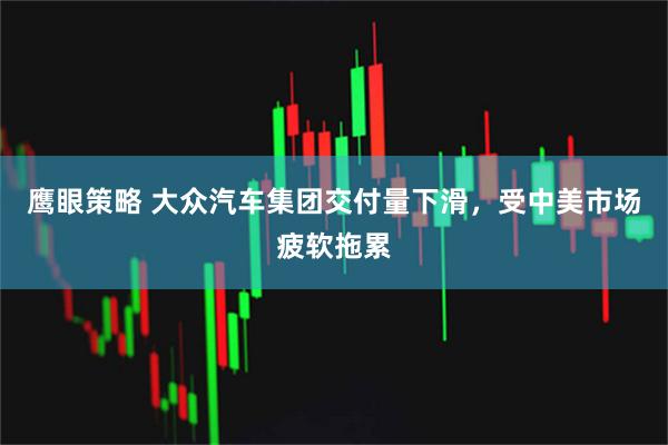 鹰眼策略 大众汽车集团交付量下滑，受中美市场疲软拖累