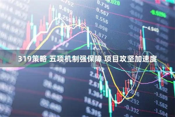 319策略 五项机制强保障 项目攻坚加速度