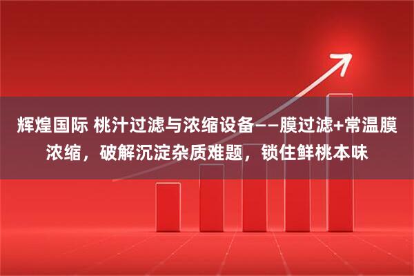 辉煌国际 桃汁过滤与浓缩设备——膜过滤+常温膜浓缩，破解沉淀杂质难题，锁住鲜桃本味